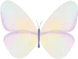 美若天仙不美颜也美的,神仙姐姐刘亦菲笑不露齿