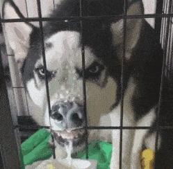 孩子长期便秘最怕三种食物,长期便秘易得肠癌医生告诉你真相