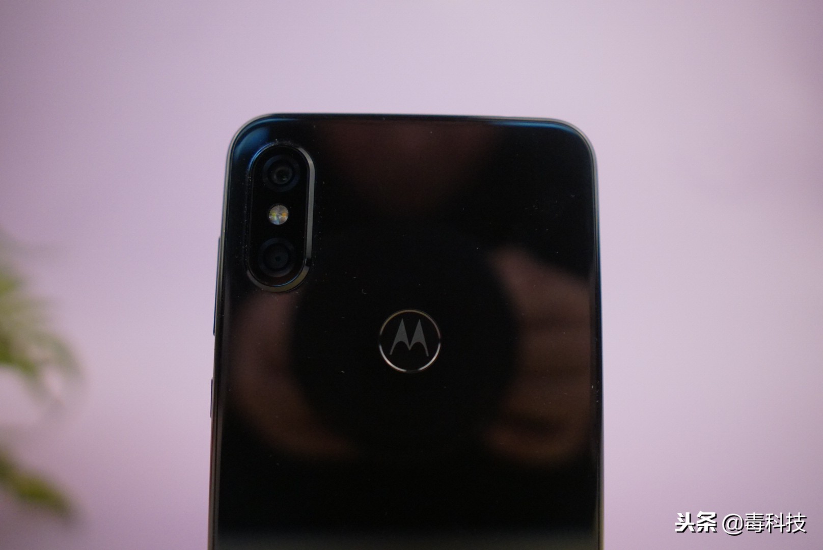 颜值和性能汽车,颜值和性能并存的电车