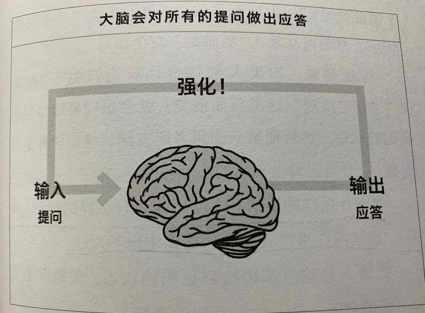 知道错觉就可以避免错觉的产生,知道了错觉就可以避免错觉的产生