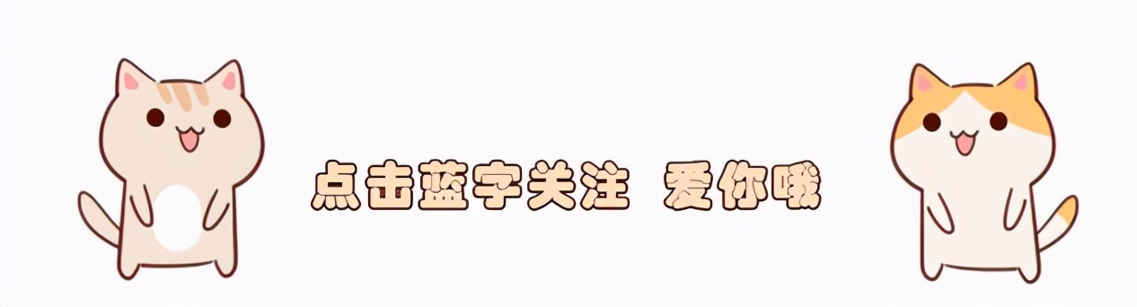 上海森林公园梅花园,上海腊梅