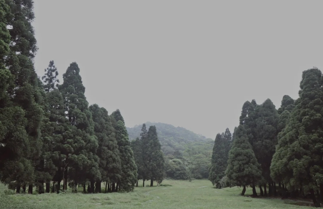 广西森林露营最佳的十大地点,广西大容山森林公园露营