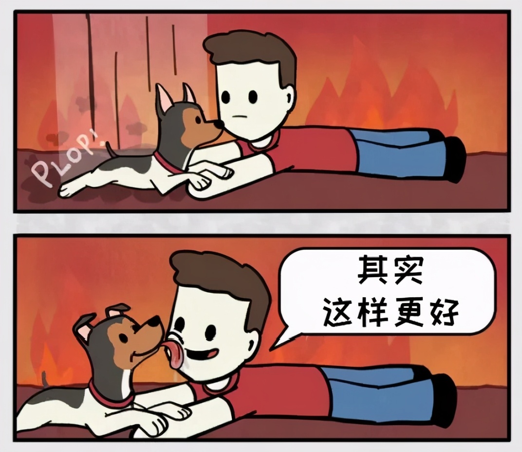 铲屎官和狗子的漫画,铲屎官和狗子们漫画