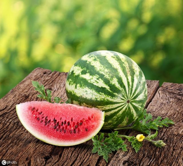 西瓜茎蔓开裂是什么病,西瓜茎蔓枯