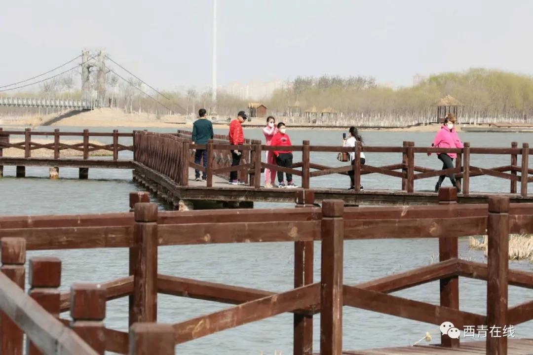 天津北辰郊野公园开放最新通知,天津都有哪些公园随时免费开放