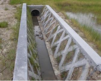 青蛙住“宾馆”，农田会呼吸，这个村发生了啥？