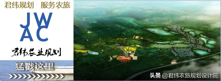 种植水果也有补贴了，哪些种植项目才有补贴？能补贴多少钱？