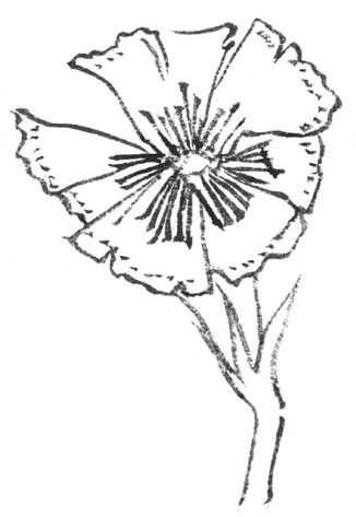 牡丹切瓣花国画画法,国画山茶花花瓣画法