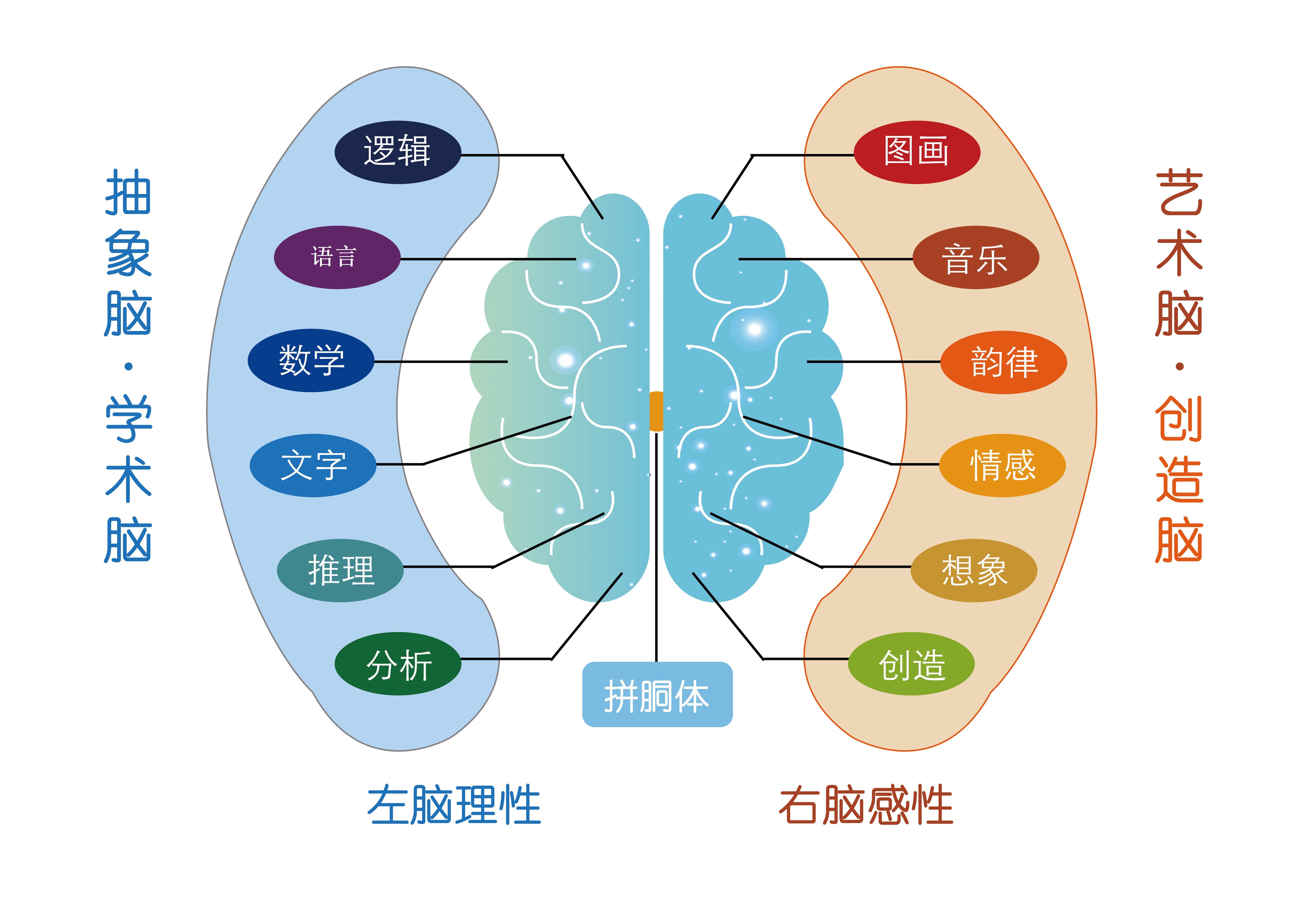2002诺贝尔生理学奖给予的启示,诺贝尔奖有哪些是关于大脑的