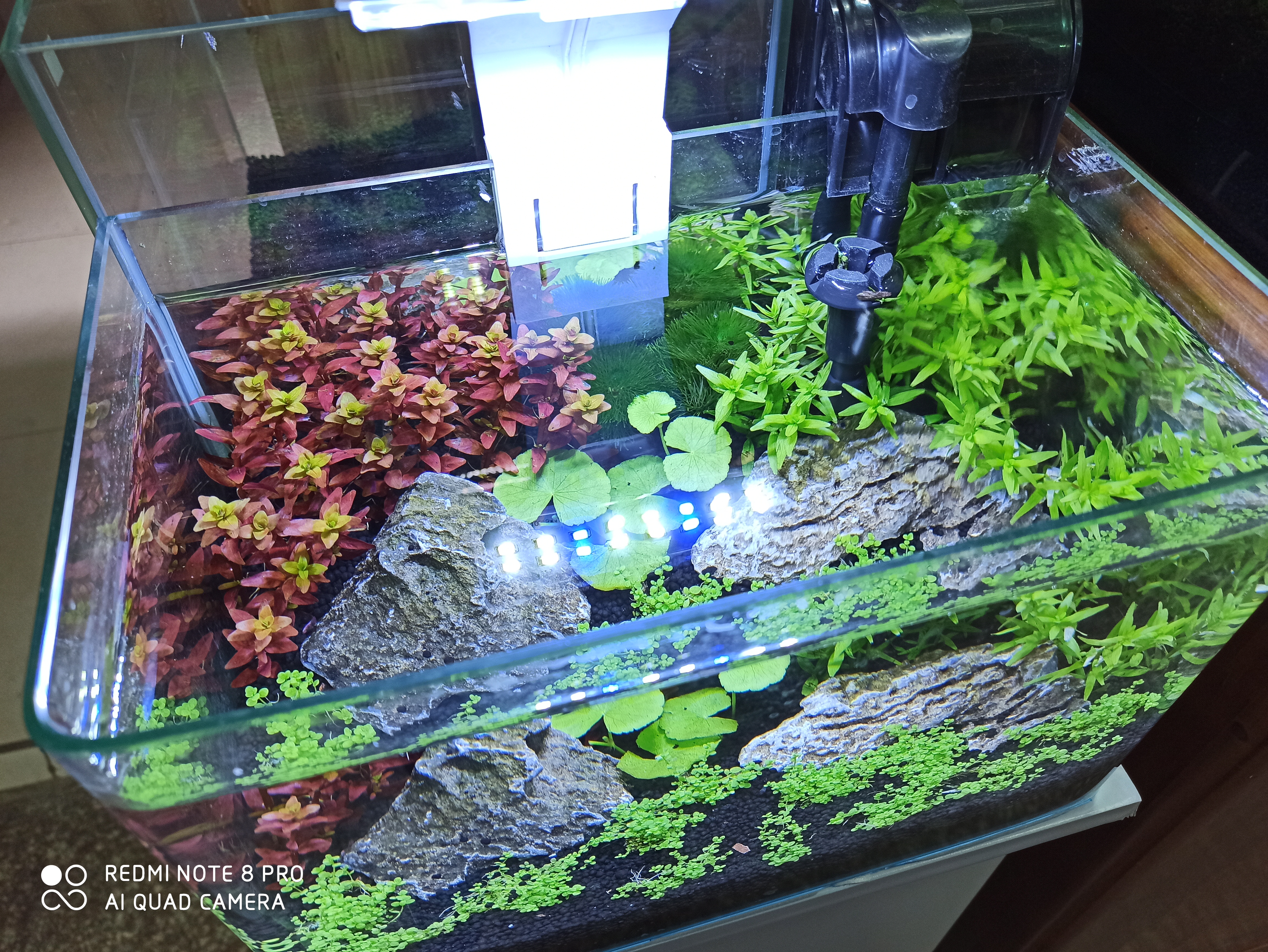 鱼缸底铺沙子怎么配备水泵和过滤,20w鱼缸过滤水泵24小时耗电