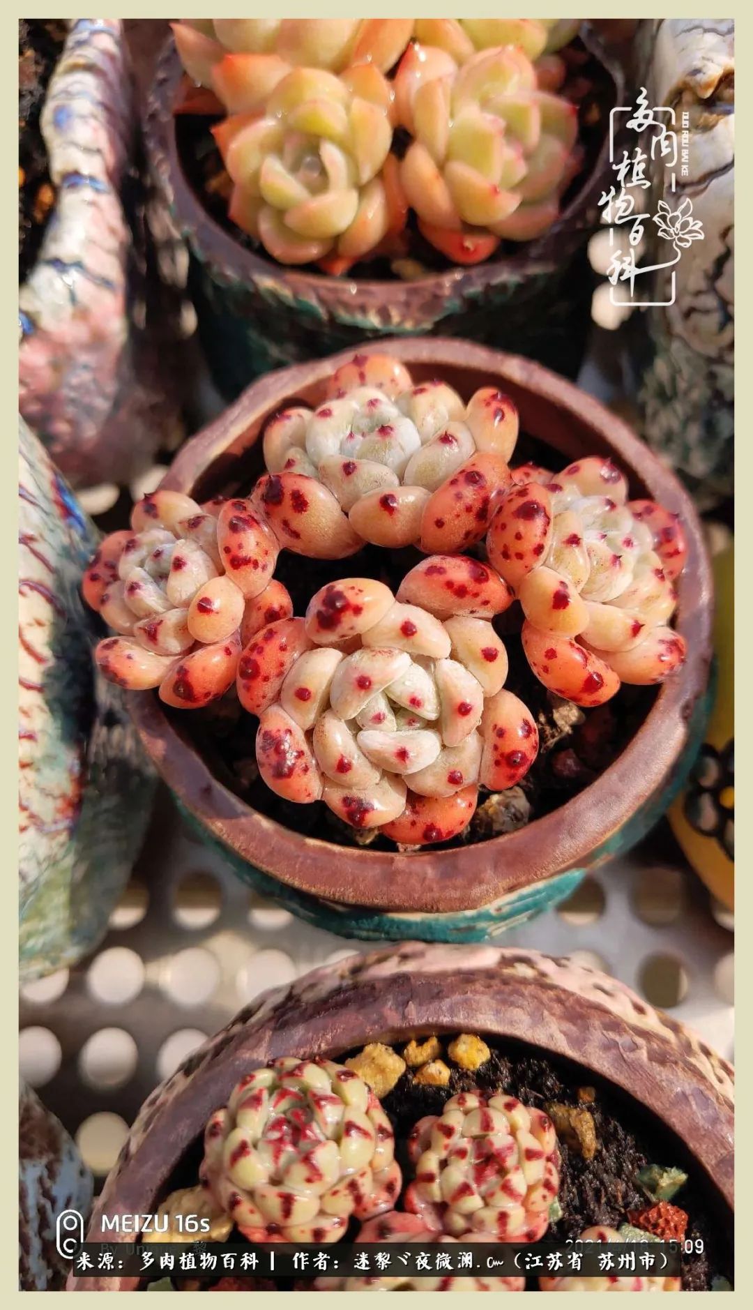 秋尽冬来岁月不居时节如流,岁月不居时节如流水