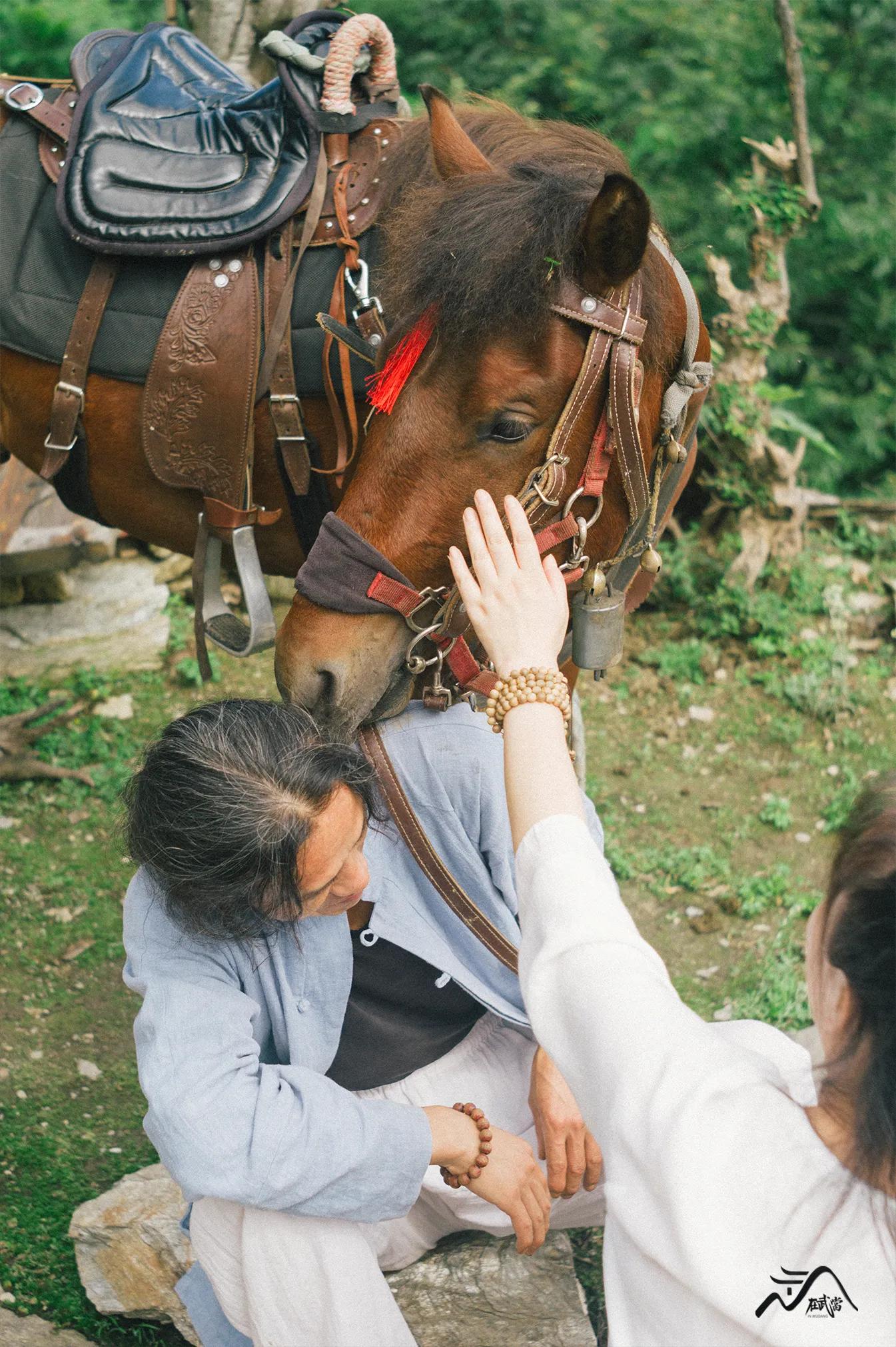 武当来信|老胡:采药酿酒,自在逍遥