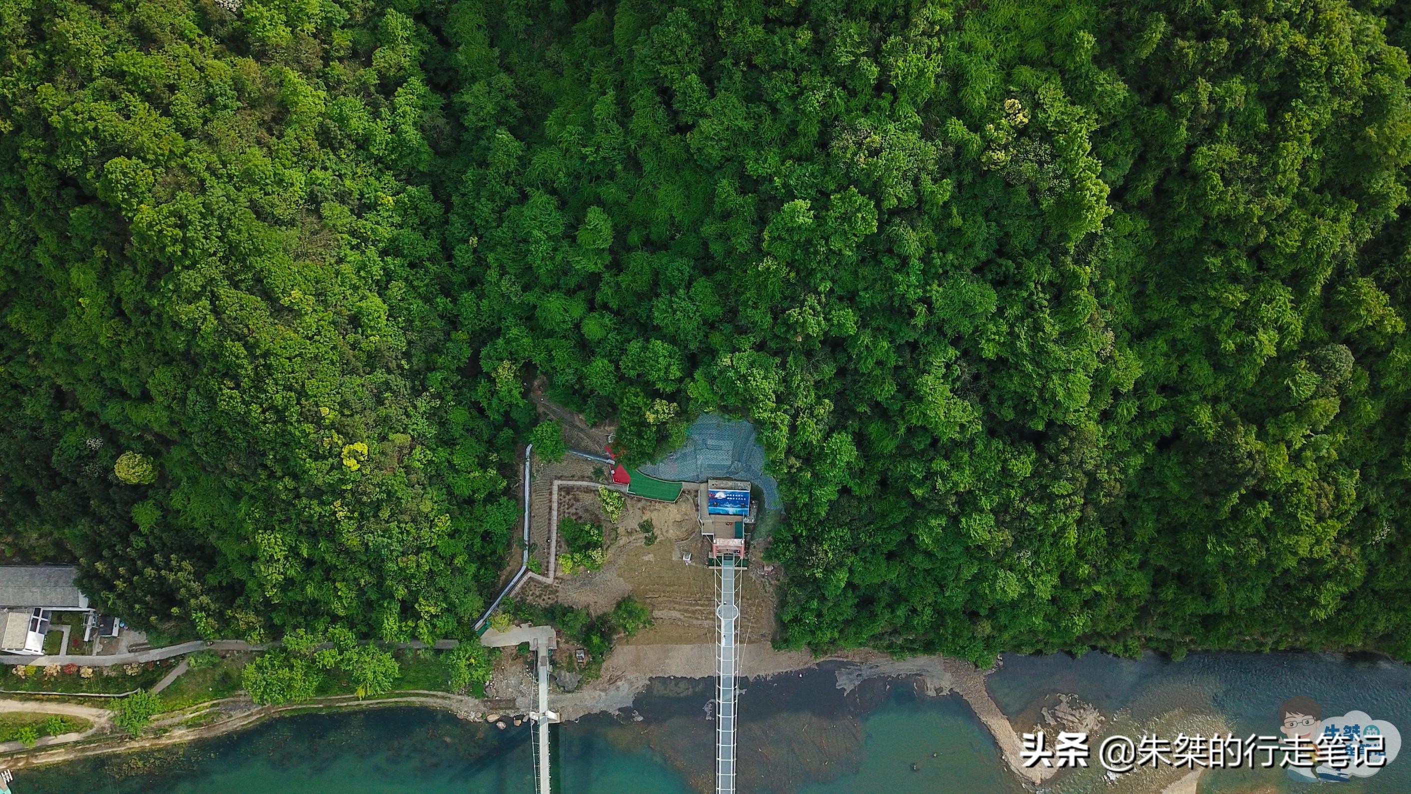 安徽石台体验不一样的自然风光,石台县原始森林