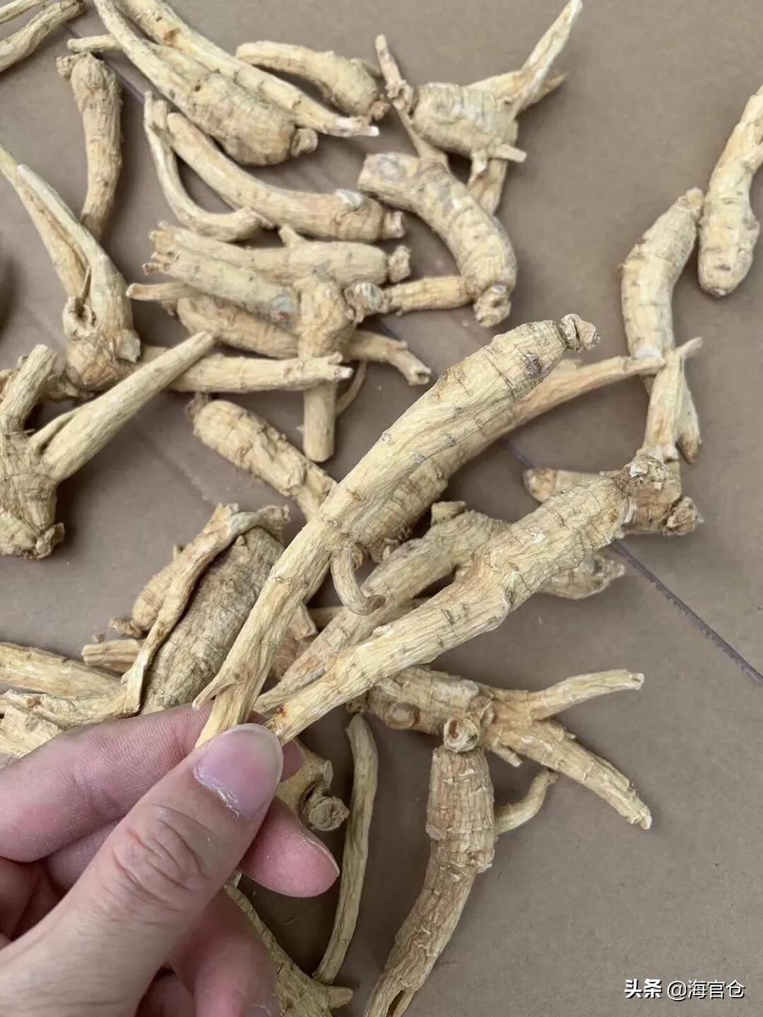 西洋参怎么泡水喝可以治咳嗽,冬季西洋参茶的正确喝法