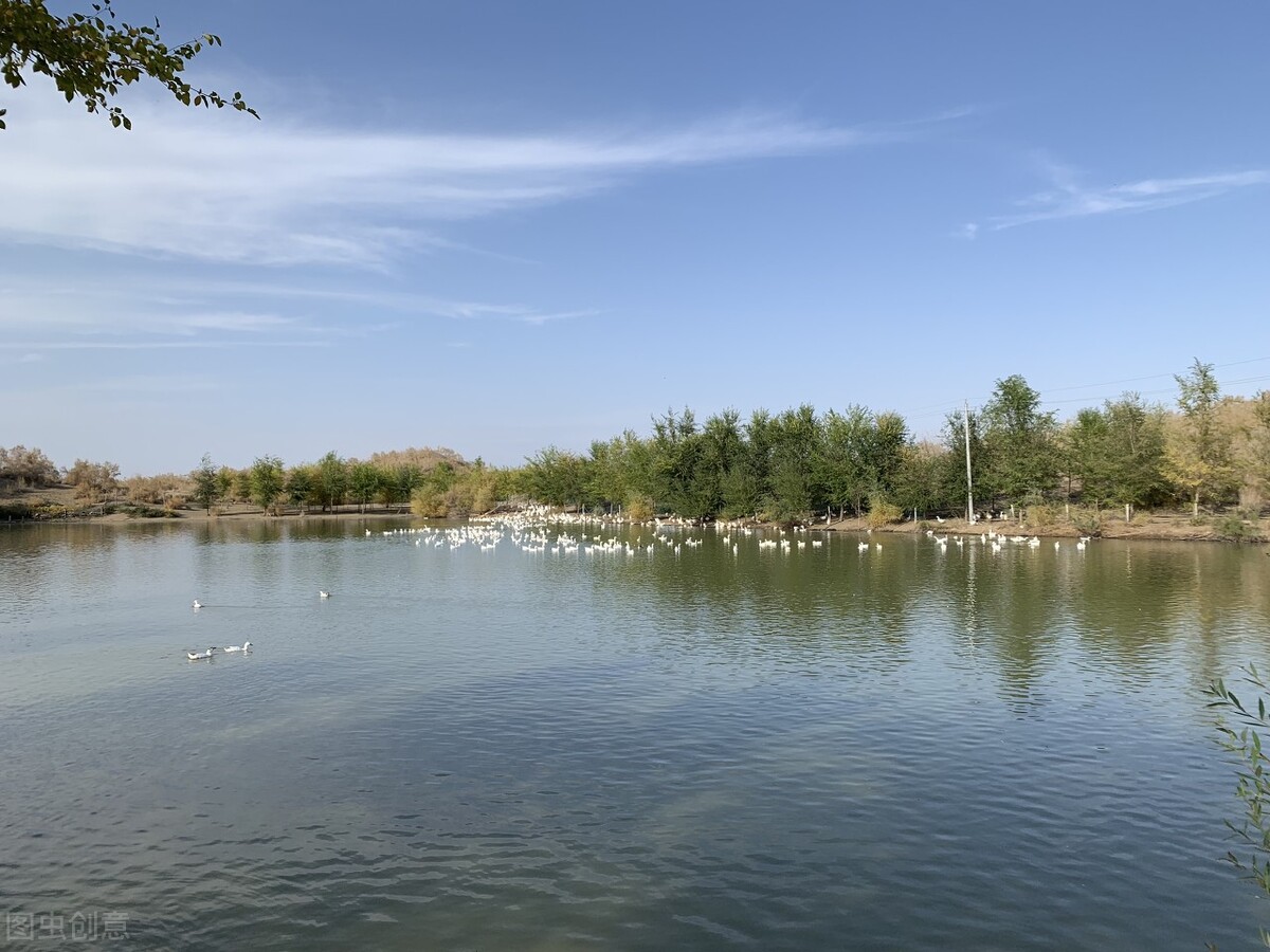 新疆旅行美丽的沙湾,新疆塔城沙湾旅游攻略