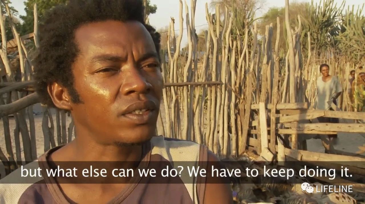 龟中“考拉”，请别让我们的孩子在博物馆见到它们...