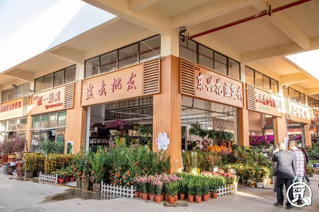 深圳花店有什么花,深圳龙华花店订花送花