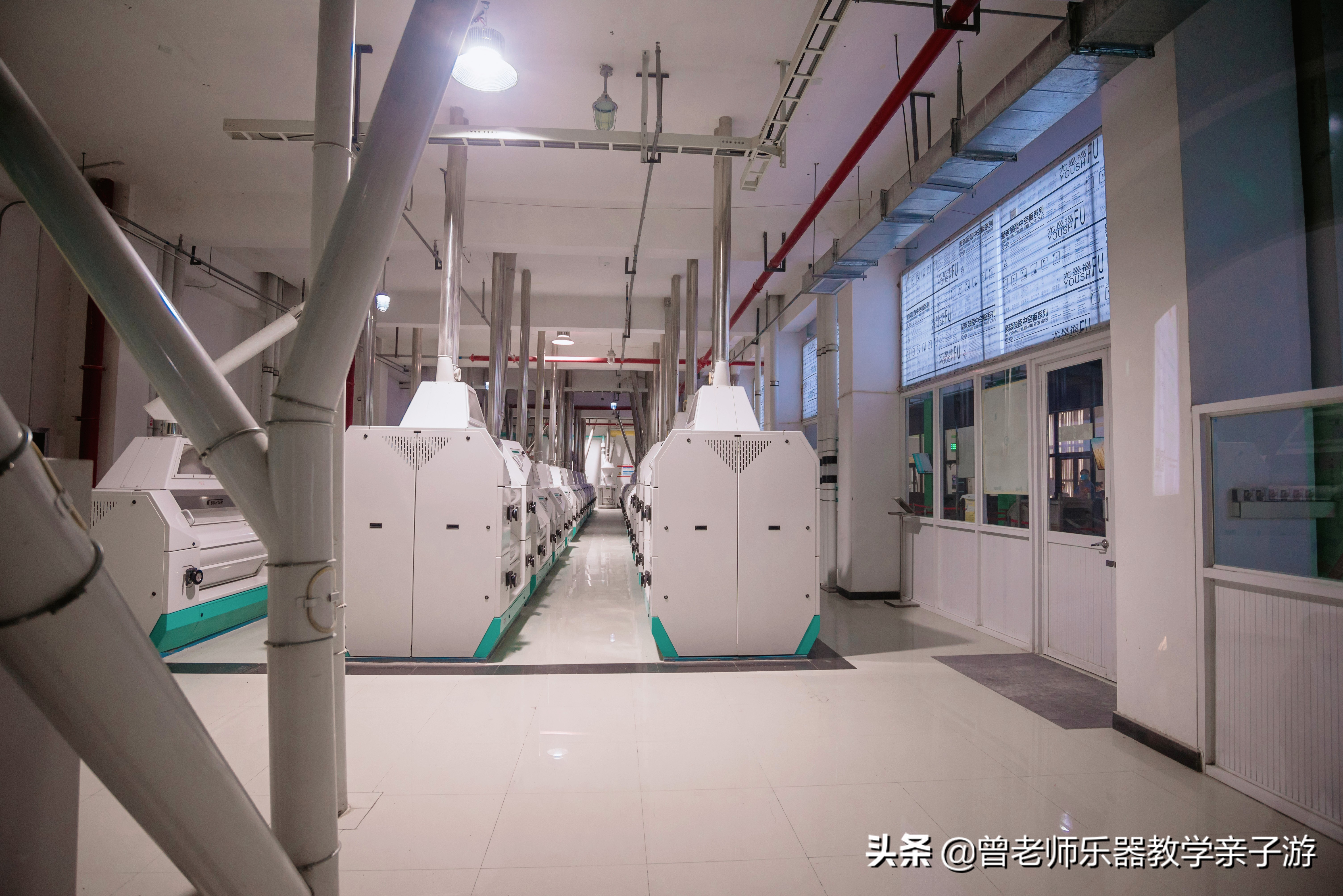 爱菊研学游,爱菊丝路文化菊花园西安