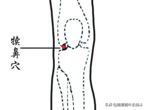 按摩胃经的正确手法和时间,按摩胃经穴有什么好处