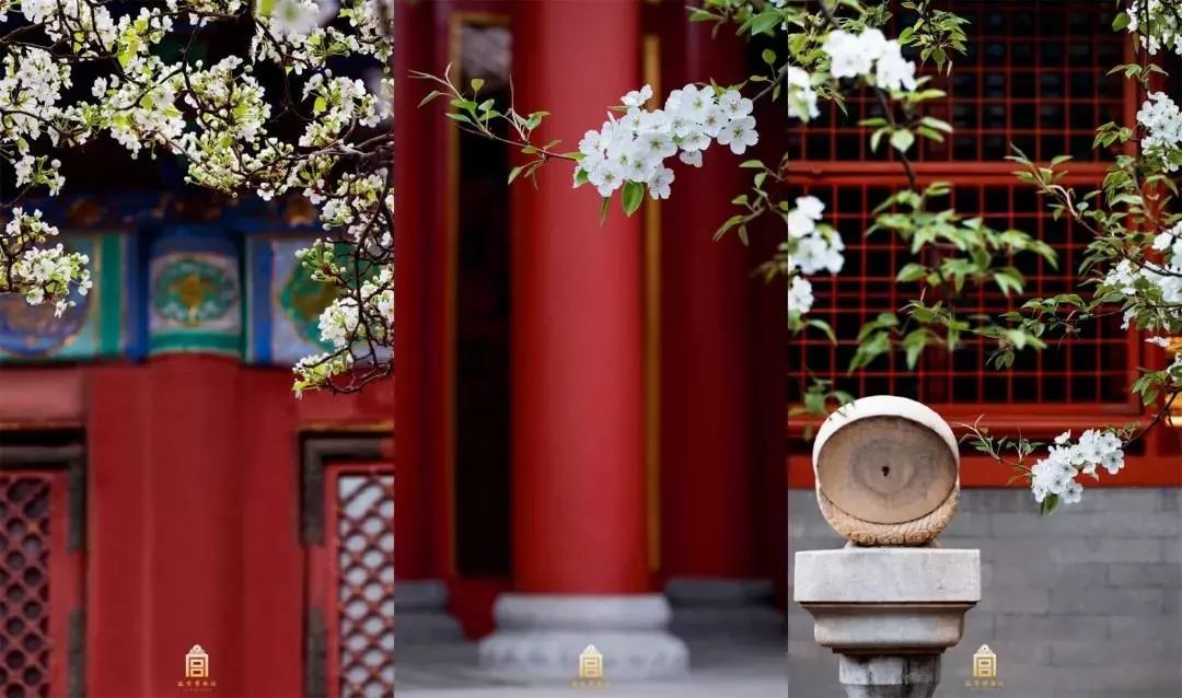 故宫流行色,上新了故宫第三季文创衣服产品