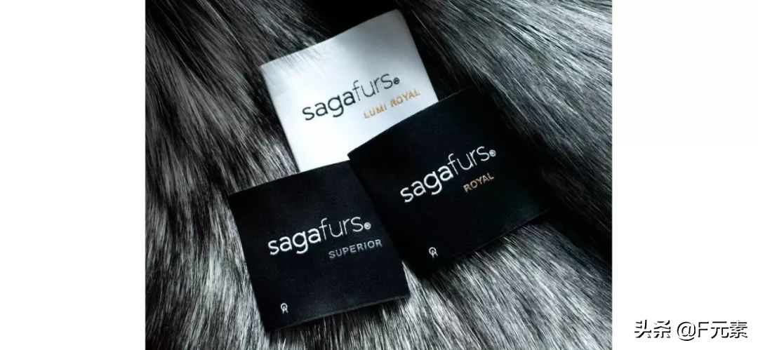 世家皮草,世家皮草再启航