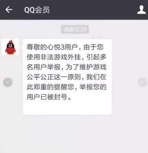 王者荣耀比v8还尊贵的会员等级,王者荣耀到底有没有v8特权