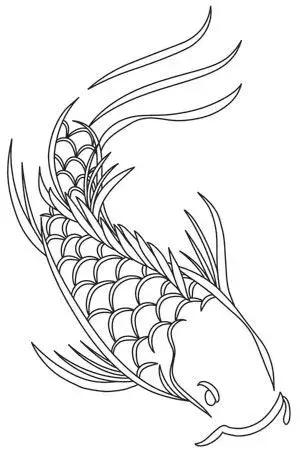 转运锦鲤简笔画,简笔画100种锦鲤图片