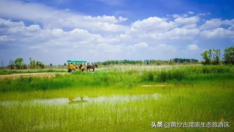 中秋佳节，陪伴家人到宁夏黄沙古渡景区开启畅玩之旅