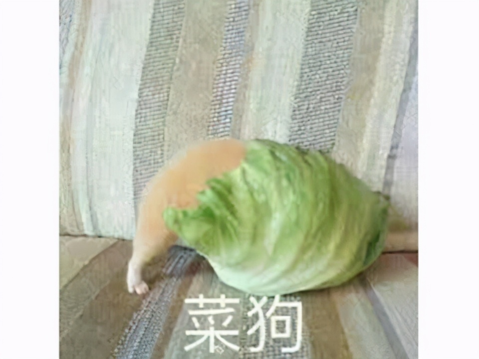 冷饭这么香？414元只能玩4小时？Steam好评却还有88%