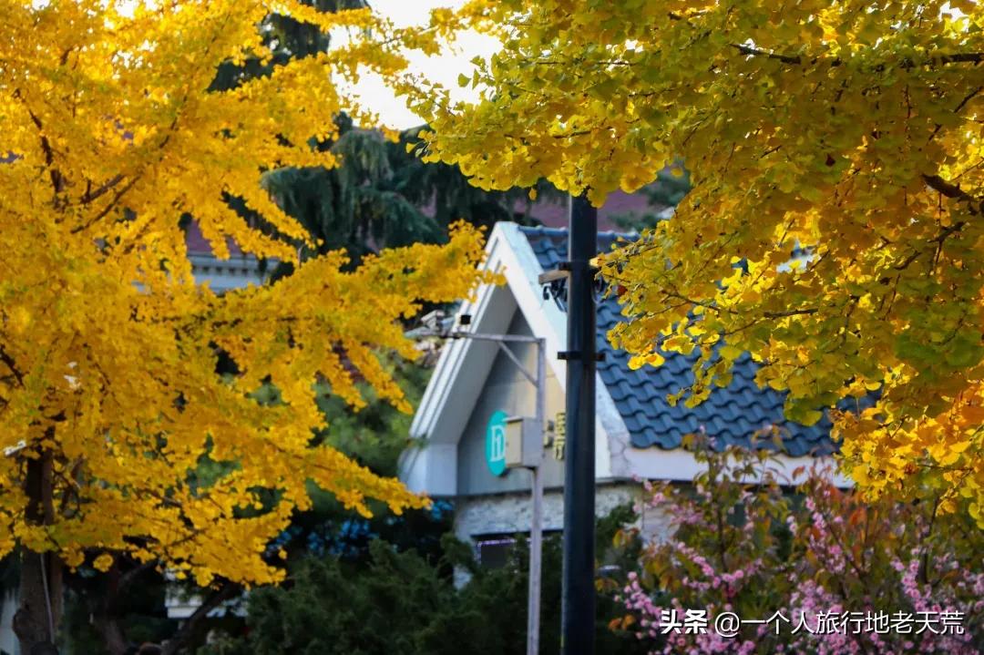 大连最浪漫的十个地方,大连浪漫景色