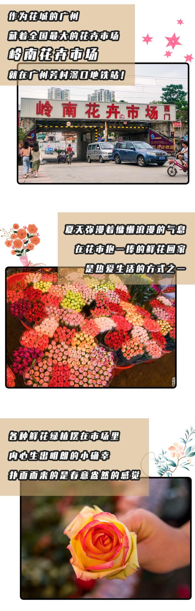 广州最大的花卉市场有哪些店,广州最便宜的花卉交易市场