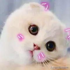 秋冬护肤的4大忌,秋冬护肤离不开这一步