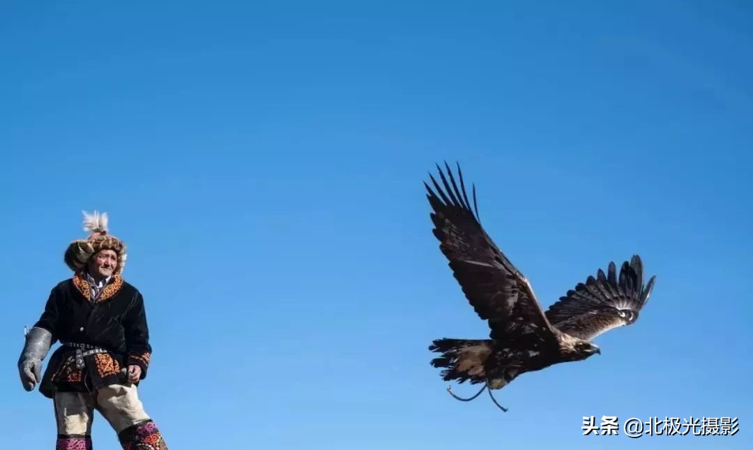 拍摄鸟类照片技巧,拍摄鸟儿照片技巧