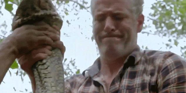 亚马逊热带雨林森蚺为什么不过海,最大的蛇森蚺生活在亚马逊雨林