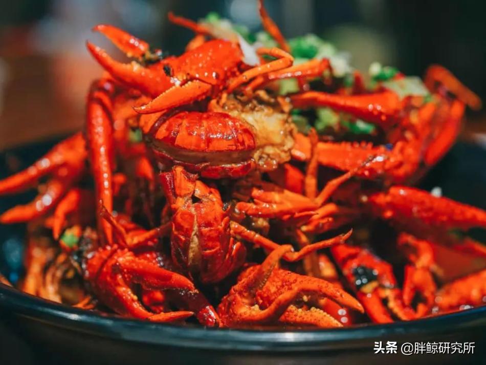 新消费品牌孵化地，网红城市长沙如是说