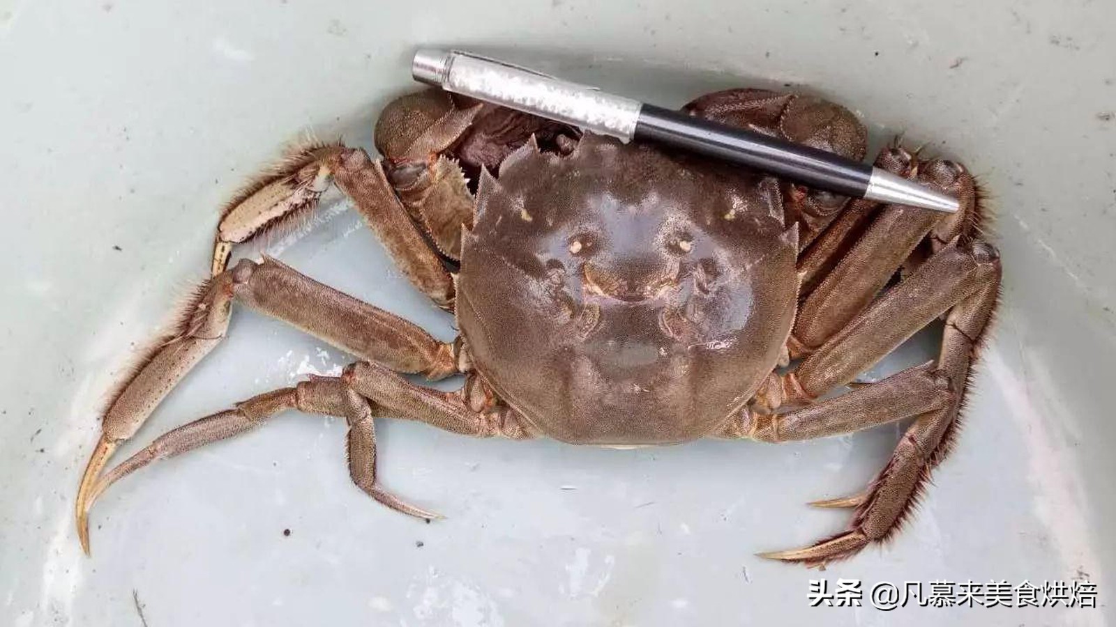 唐山什么特产适合送人,客人来唐山带点啥特产