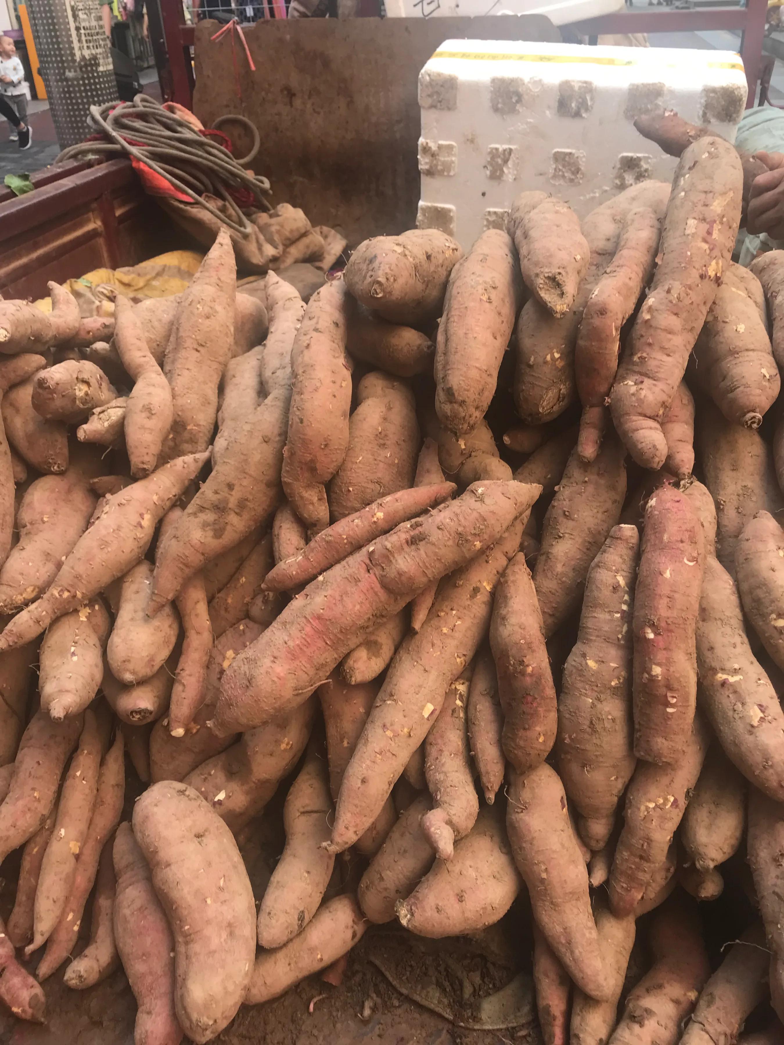 水木清华早市,水木清华附近的早市