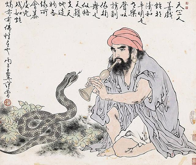 蛇为什么要三年后才报仇,蛇真的会报仇吗