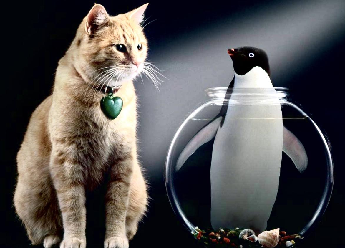 qq被冻结了这个号是不是没用,为什么一觉醒来发现qq被冻结了