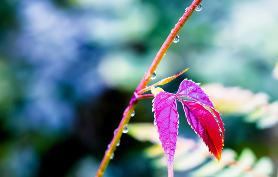 50张顶级绝美风景壁纸,绝美的海边风景图片壁纸