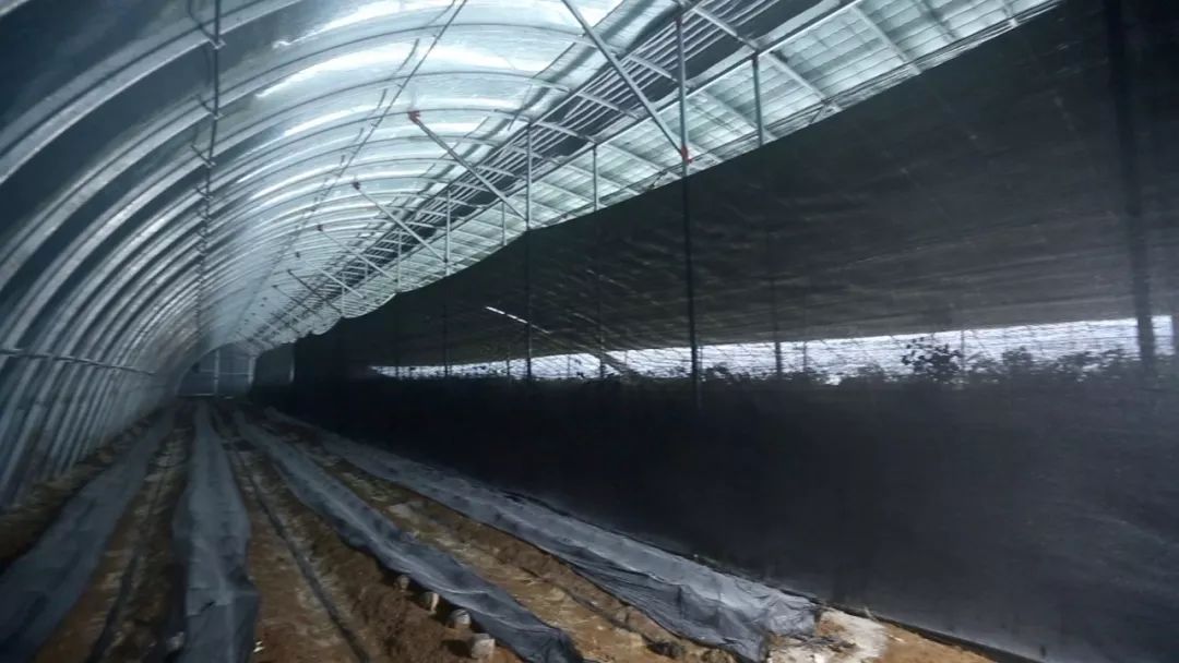 新型农村养殖大棚建造,专业建养殖大棚小伙