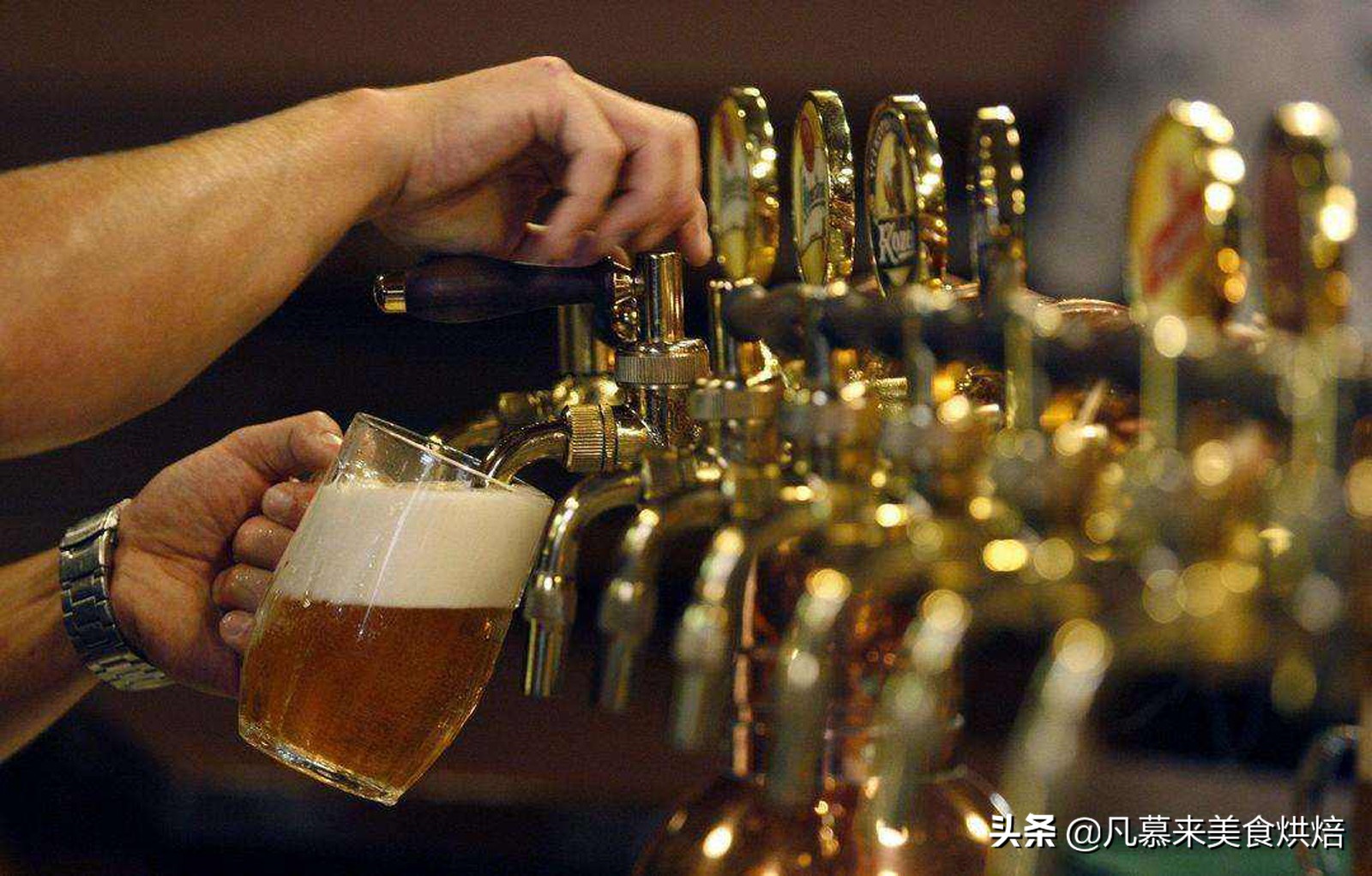 天津科技大学专家解密：1元啤酒？精酿啤酒和工厂啤酒的区别？
