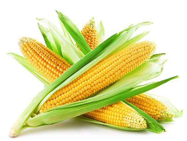 新奇特水果合集,新奇特创意水果