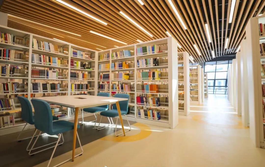 暑假深圳好玩的地方推荐,暑假深圳免费好玩的地方推荐