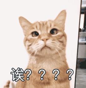 北京2022年将要开通的地铁新线,北京地铁12号线通车时间最新消息