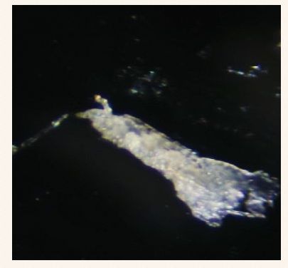 去黑头不踩坑,去黑头正确操作