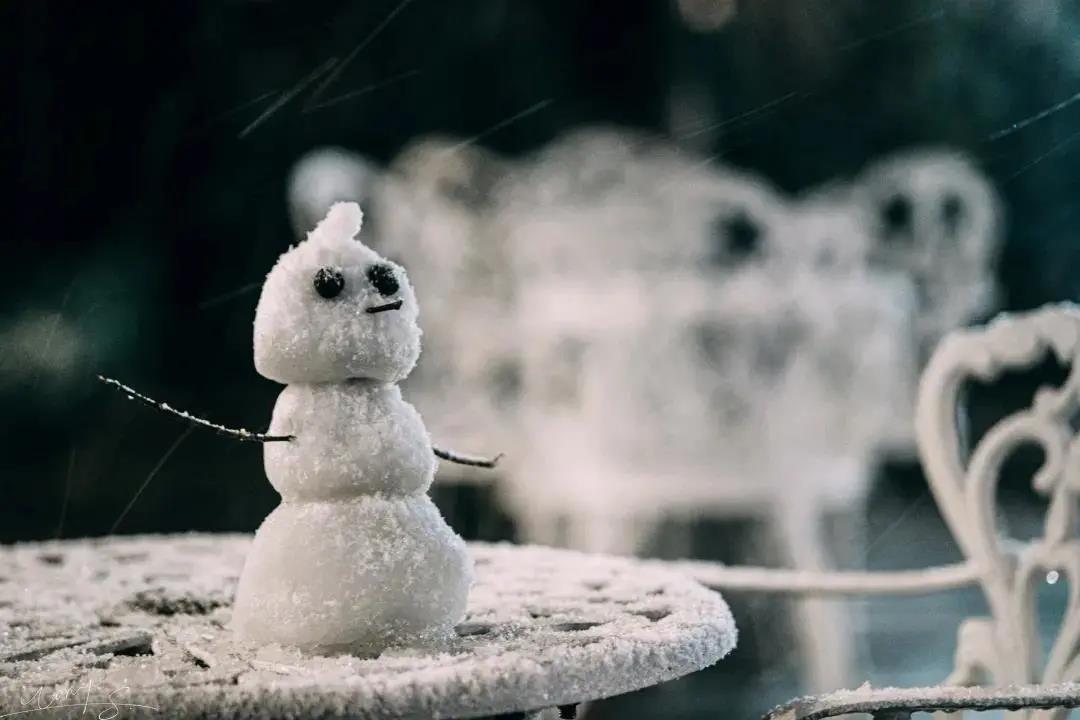 冬日的苏州有多美？雪景、美食、温泉，让你瞬间梦回姑苏城