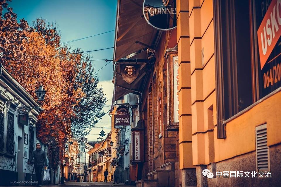 塞尔维亚孤单星球,塞尔维亚十大孤独星球