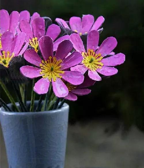 具有学习性的亲子手工简单,亲子手工一学就会教程来啦