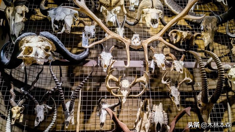 加拿大多伦多生活日记,加拿大多伦多留学生活纪实